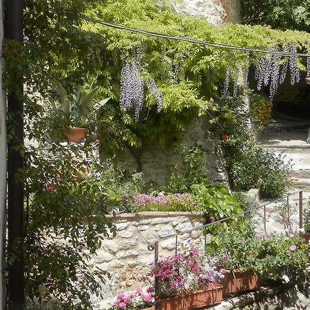 Gæstehus Residenza Di Paese Castello Del Poggio 3*