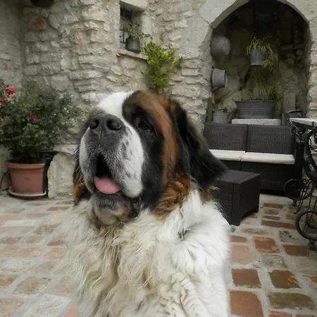 Residenza Di Paese Castello Del Poggio פרנטילו