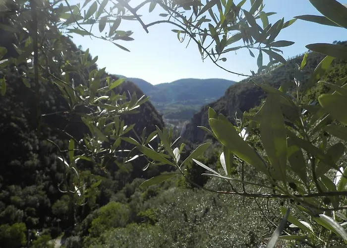 Affittacamere Residenza Di Paese Castello Del Poggio Ferentillo