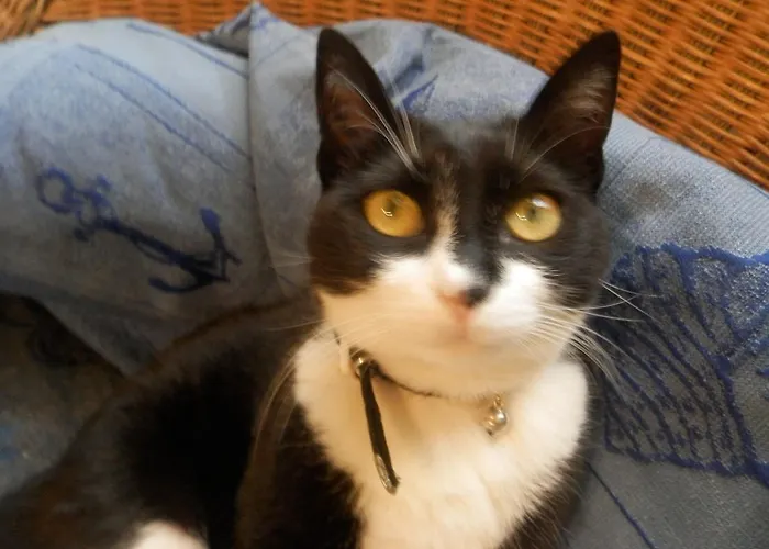 Residenza Di Paese Castello Del Poggio Ferentillo