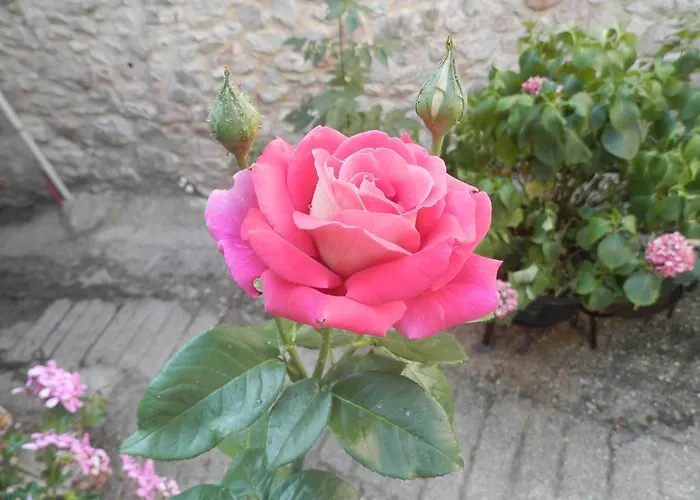 Residenza Di Paese Castello Del Poggio Affittacamere 3*