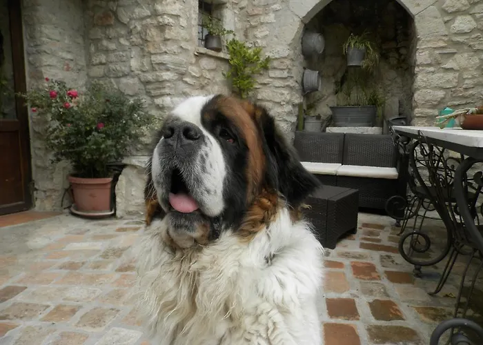 Residenza Di Paese Castello Del Poggio Ferentillo